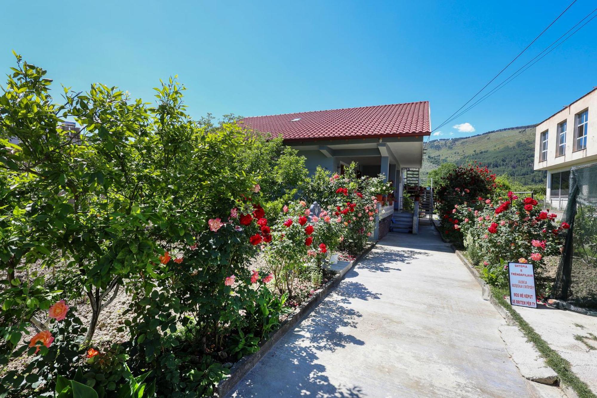 Willa Samuela Cozy Retreat Berat Zewnętrze zdjęcie